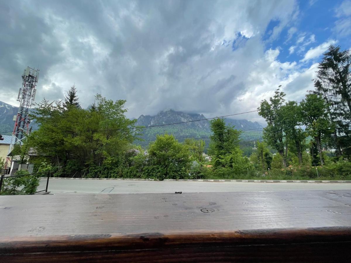 Castle Residence Apt. Zamorei Busteni Bagian luar foto