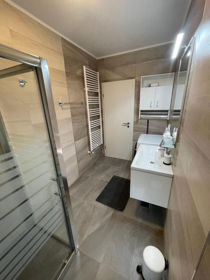 Castle Residence Apt. Zamorei Busteni Bagian luar foto